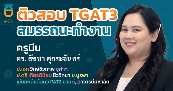 TGAT3 สมรรถนะทำงาน